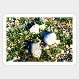 Shot from Santarelli lakes in Piane di Moresco with different white stones interspersed with green grass and yellow flowers Sticker